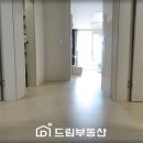 동화5차 이미지