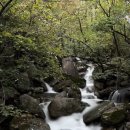 별밤차박캠핑장 이미지