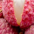 백년지기 이미지