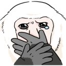 멍멍까까 이미지