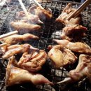 메추리농장 이미지