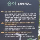 푸른길근린공원 이미지