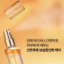 브이기획