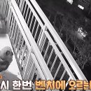 이소농장 이미지