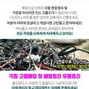 (주)정일모터스 이미지