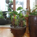 영어회화2 이미지