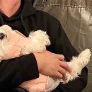 스테이화담 오향 이미지