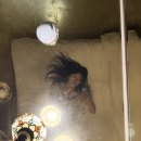 2월호텔 송도암남점 네이버블로그