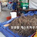 달맞이펜션민박