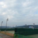 칠곡군종합운동장 테니스장 이미지