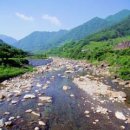 지리산화개골