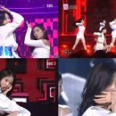 루리퍼포먼스