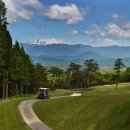 버디골프스쿨 이미지