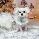 솜사탕 애견미용실 이미지