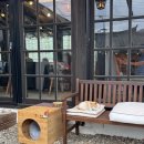 신대길 | 서울근교한옥카페 양평한옥카페 양평애견동반카페 '녹원'