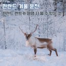 태양카부분정비 | 겨울 북유럽 여행 11월말 핀란드 렌트카 여행 도로 상태 볼 수 있는 풍경