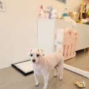 보리미용실 이미지