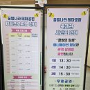 강변대로 | 칠곡 아이랑 가볼만한 꿀벌나라 테마공원 체험프로그램 공연 후기