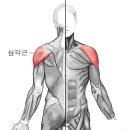 심정병원 이미지