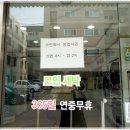 크린토피아코인워시양재2동점
