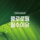 트루그린