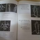 고시서림 이미지