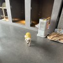 수원-2057 이미지