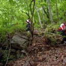 고로쇠마을 이미지