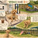 댕댕 | 가을이와 함께 다녀온 김해 댕댕파크 후기