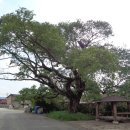 신동1통 마을회관 이미지