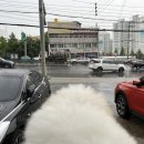 다사종합동물병원 이미지