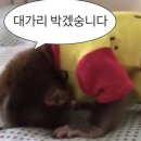열방교회 | [공지] 2025 G2A(Go To All) 집회 후기ㅣ고투올ㅣ@킨텍스