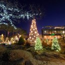 매산1동 | 금요일먹방일상 : 합덕빽다방,아산 미락한식뷔페&amp;해어름카페