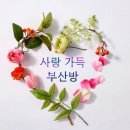 ❤️💙💜사랑가득 부산방(5️⃣비/5️⃣1️⃣전대) 2023년 5월 18(목)~20일(토) 네 번째 출부 올립니다 이미지