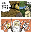금도끼은도끼 Daum카페