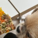 개네집 곳간 이미지