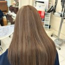 무거동 강아지 미용실 이미지