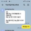 에스피티 이미지