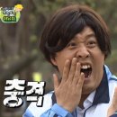 해바