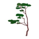 플로리스트 고급 이미지