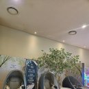 써브웨이대구율하 | 대구 율하 롯데시네마 글래디에이터 2(2D초청시사회 당첨) 후기