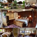 에버그린여행사 이미지