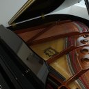 포레스트음악학원 | 무지개초피아노 배우기 좋은 선율 음악학원 체험 후기