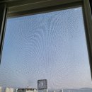 새마을로1L-46 | 울산 문수마을 동문굿모닝힐 실버스텐 방충망 교체 후기 - 깔끔함과 실용성을 동시에