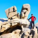 동해바다 1 이미지