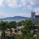 강남정공원 이미지