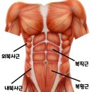 헬스 시리즈 6탄 복근 만들고싶지? 복근 운동 이거 2개면 됨 이미지