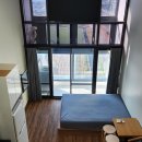 하모리-40 이미지