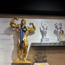 파프리카짐 (갈마/내동점) 이미지