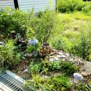 휴양림하우스 이미지